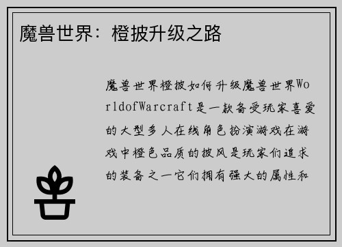 魔兽世界：橙披升级之路